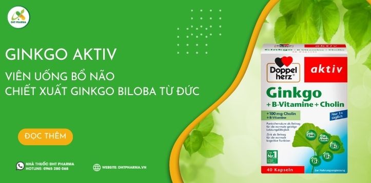 Ginkgo Aktiv - Viên uống bổ não Chiết xuất Ginkgo biloba từ Đức