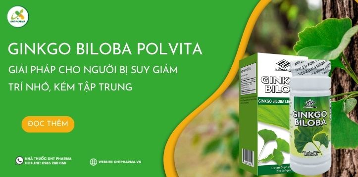Ginkgo Biloba Polvita - Giải pháp cho người bị suy giảm trí nhớ, kém tập trung