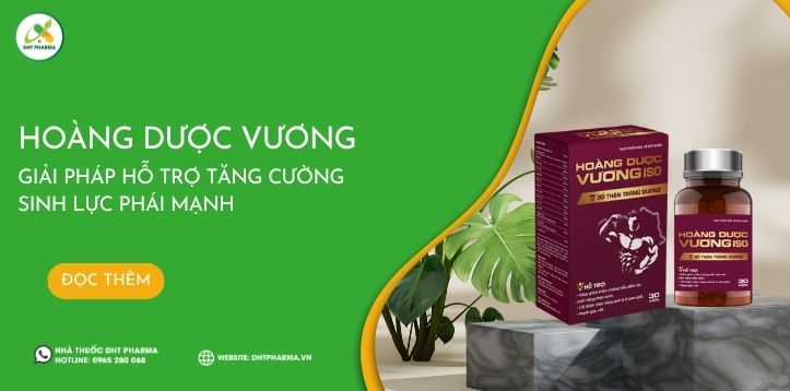 Hoàng Dược Vương - Giải pháp hỗ trợ tăng cường sinh lực phái mạnh