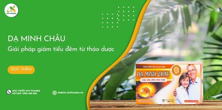 Dạ Minh Châu: Giải pháp từ tự nhiên giúp giảm tiểu đêm