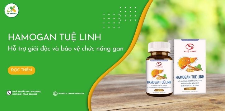 Hamogan Tuệ Linh: Thảo dược quý cho gan khỏe mạnh