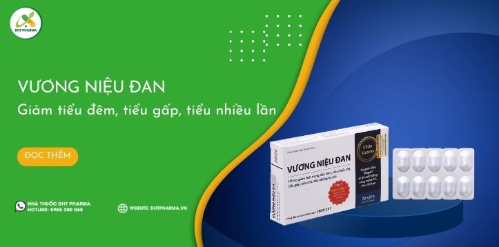Vương Niệu Đan: Giảm tiểu đêm, tiểu gấp, tiểu không tự chủ