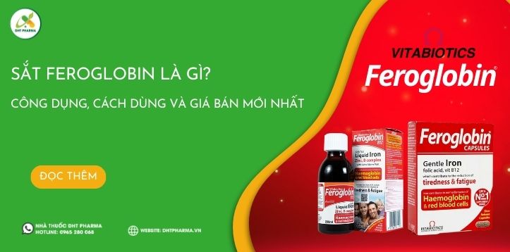 Sắt Feroglobin là gì? Công dụng, cách dùng và giá bán mới nhất