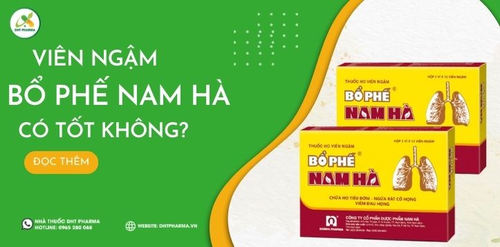 Viên Ngậm Bổ Phế Nam Hà có tốt không? Đánh giá từ người dùng