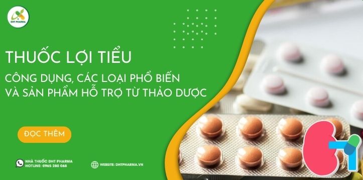 Thuốc lợi tiểu: Công dụng, các loại phổ biến và sản phẩm hỗ trợ từ thảo dược