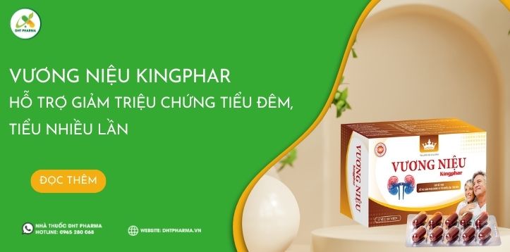 Vương Niệu Kingphar bổ thận, hỗ trợ giảm triệu chứng tiểu đêm, tiểu nhiều lần