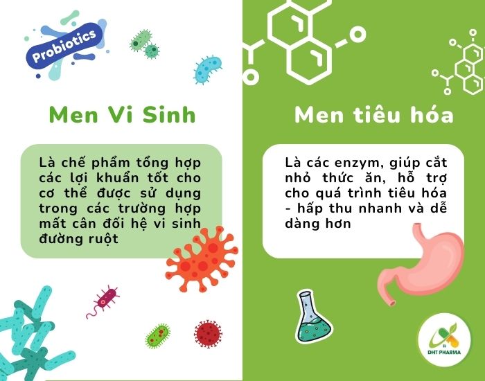 men vi sinh là gì