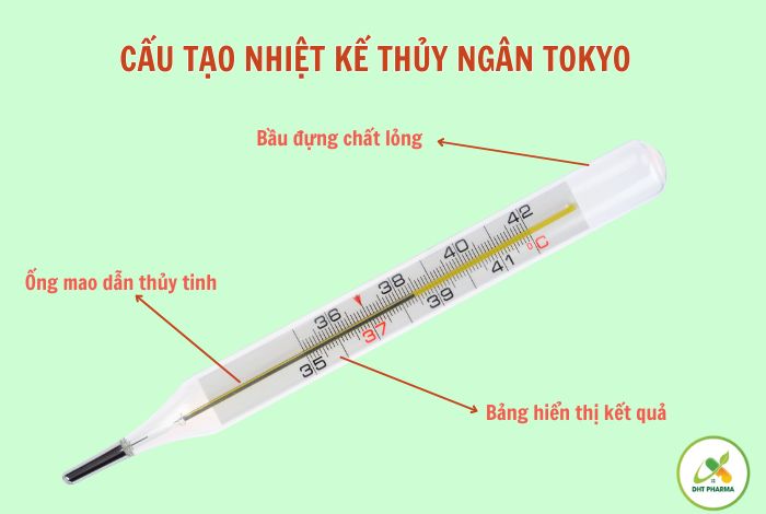 Cấu tạo của nhiệt kế thủy ngân