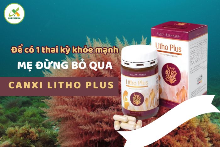 Litho Plus