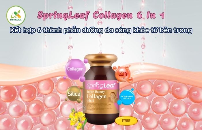 Collagen 6 In 1
