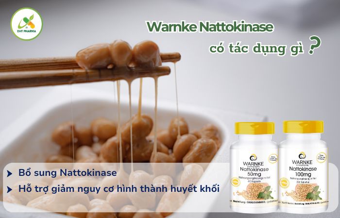 Warnke Nattokinase