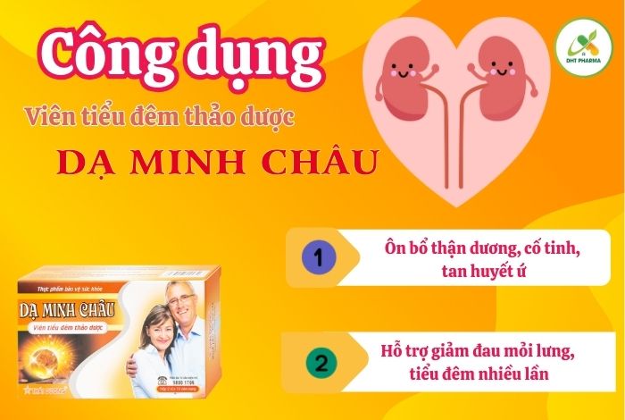 Dạ Minh Châu