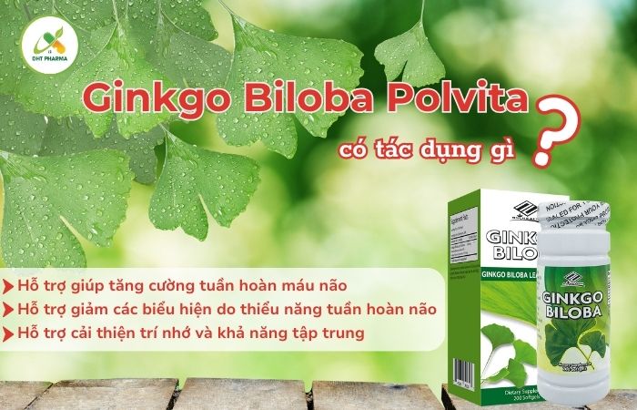 Ginkgo Biloba Polvita