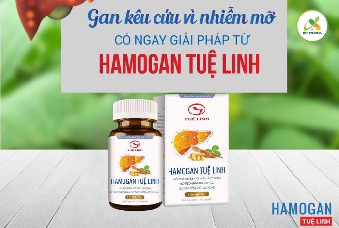 Hamogan Tuệ Linh