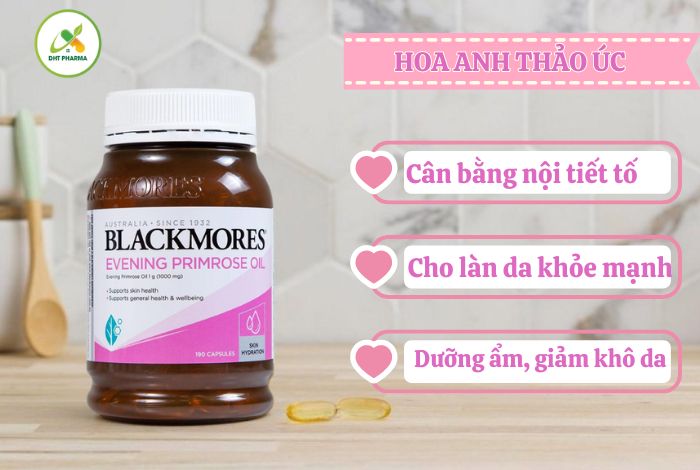 Hoa Anh Thảo Úc