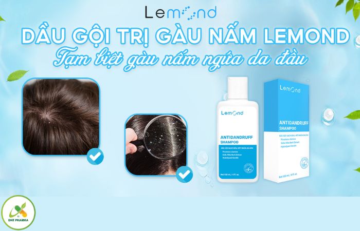 Dầu gội trị gàu