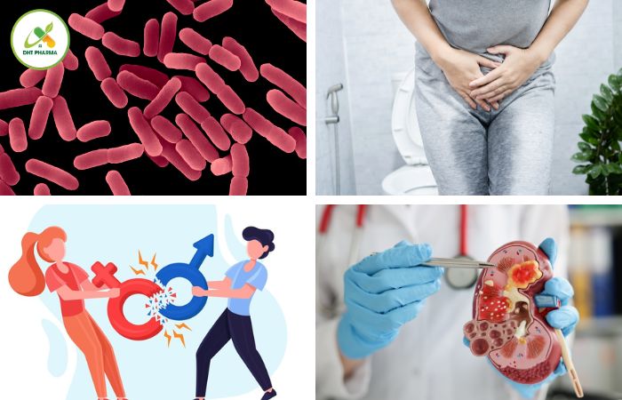 Viêm đường tiết niệu