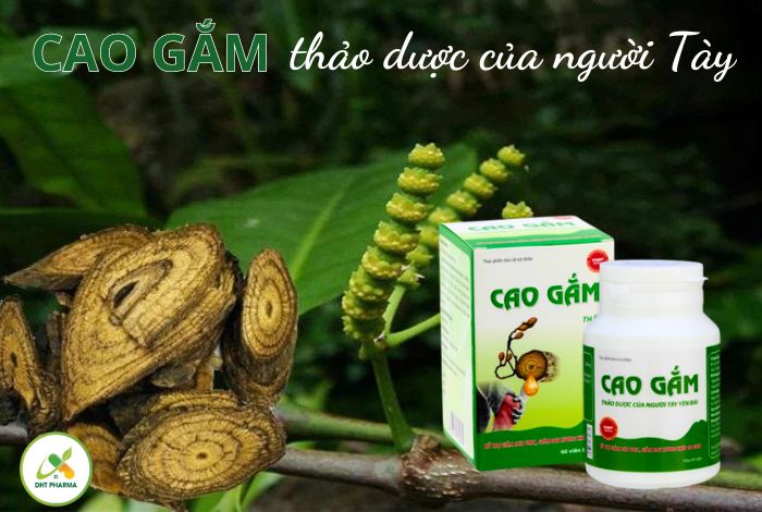 Cao Gắm