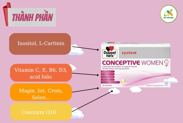 Conceptive Women