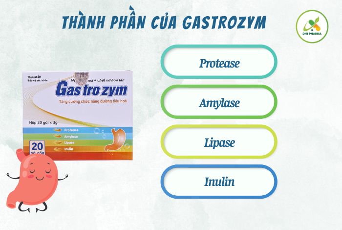 Gastrozym