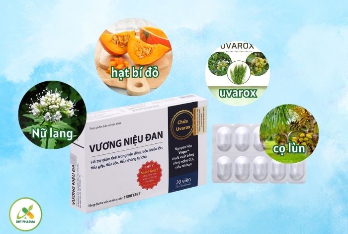 Vương Niệu Đan