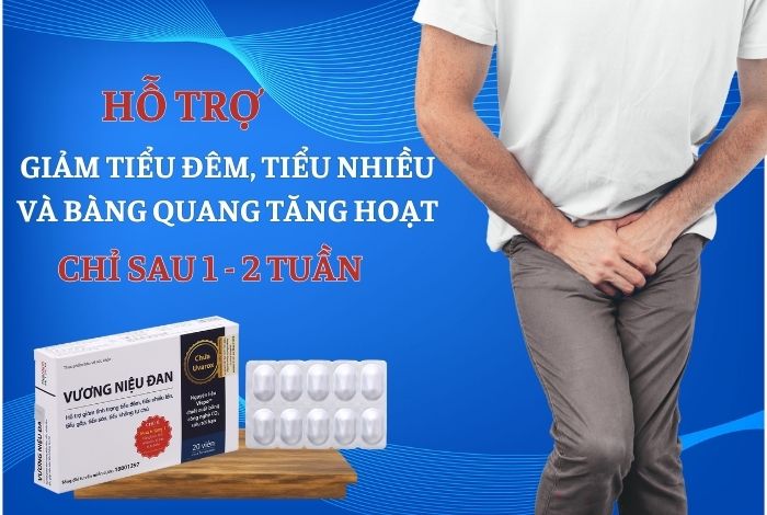 Vương Niệu Đan