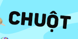 Icon Chuột