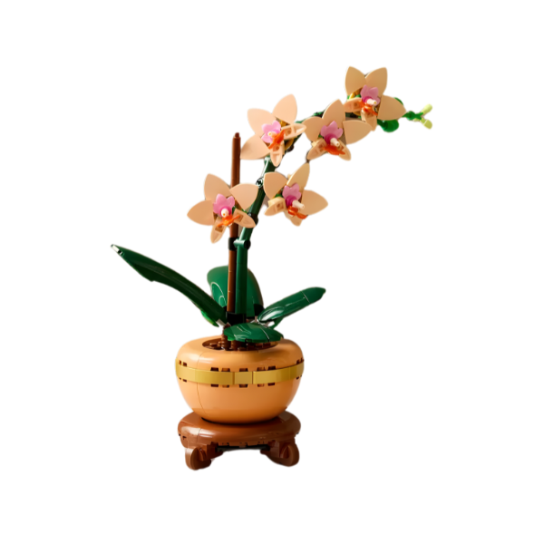 Bộ Mô Hình LEGO BOTANICALS Combo Đào Lan Cúc Thần Tài