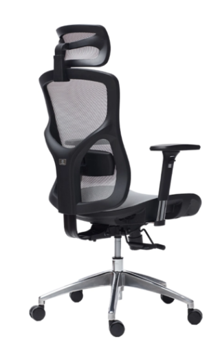 Ghế Công Thái Học Manson Vera – Lưới Wintex Xám
