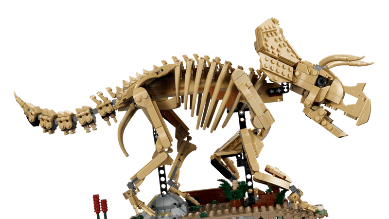 Bộ Mô Hình Hóa thạch khủng long ba sừng Triceratops  LEGO Jurassic World #77985