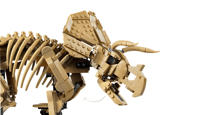 Bộ Mô Hình Hóa thạch khủng long ba sừng Triceratops  LEGO Jurassic World #77985
