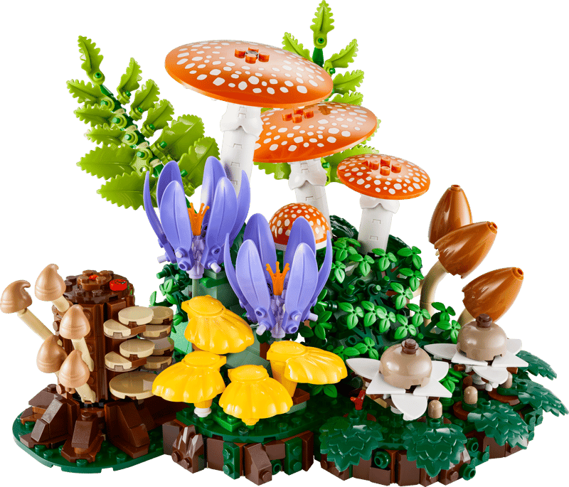 Bộ Mô Hình Nấm Rừng Xinh Xắn LEGO BOTANICALS #11505