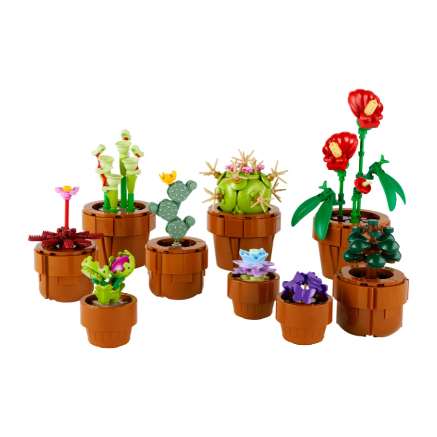 Bộ Mô Hình LEGO BOTANICALS Tiny Plants Bộ Sưu Tập Hoa Xương Rồng #10329