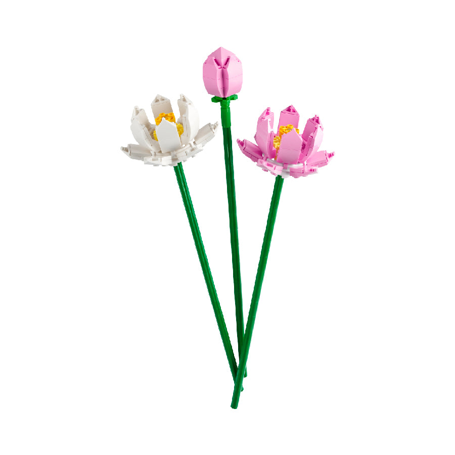 Bộ Mô Hình LEGO BOTANICALS Lotus Flowers Hoa Sen #40647