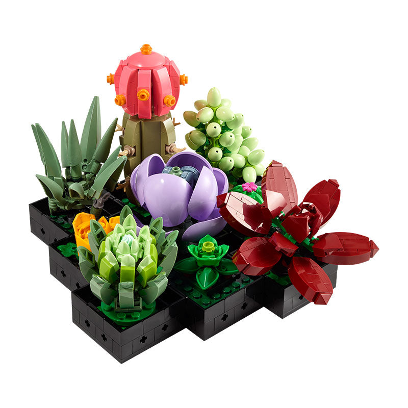 Bộ Mô Hình LEGO BOTANICALS Succulents Sen Đá #10309