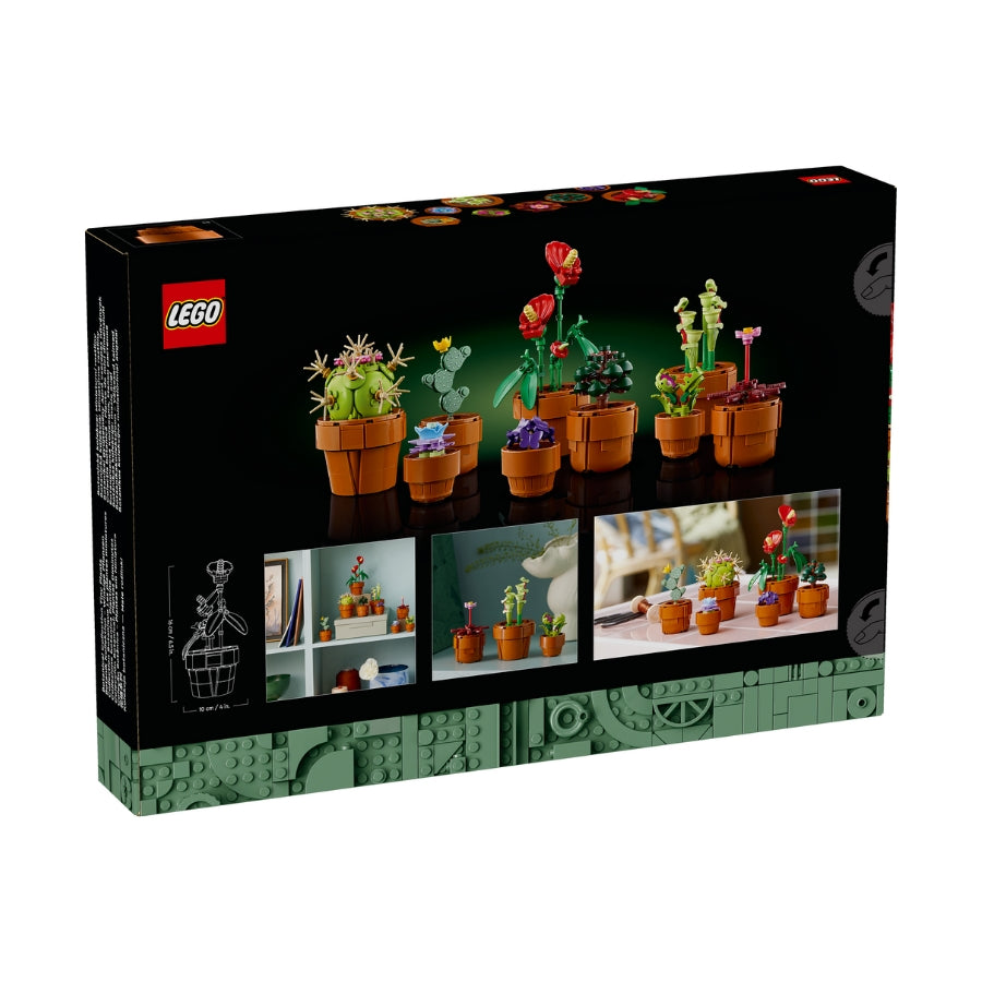 Bộ Mô Hình LEGO BOTANICALS Tiny Plants Bộ Sưu Tập Hoa Xương Rồng #10329