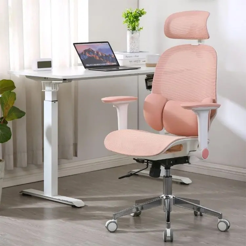 Ghế Công Thái Học Manson E3 Lite - Bản Lưới