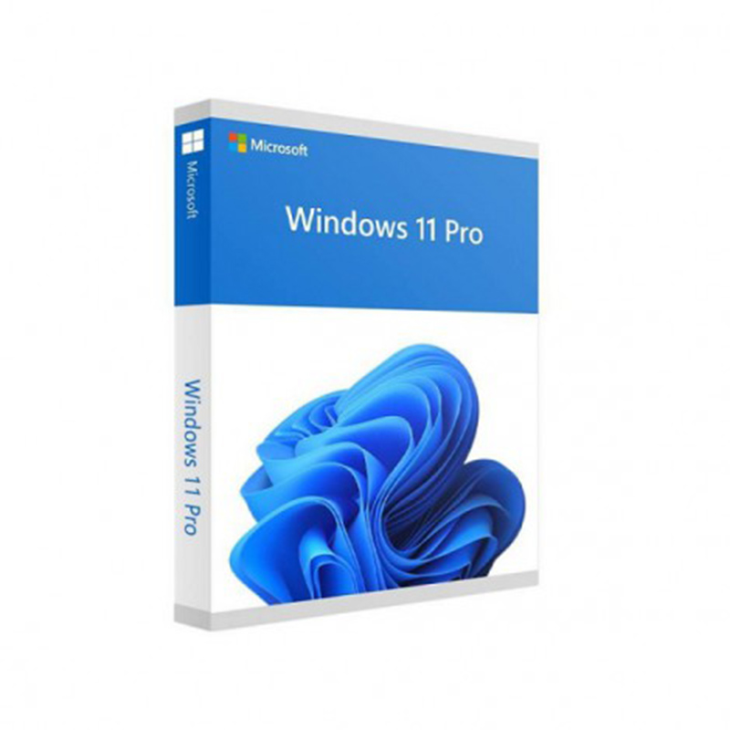 Phần mềm Win Pro FPP 11 64-bit Eng Intl USB