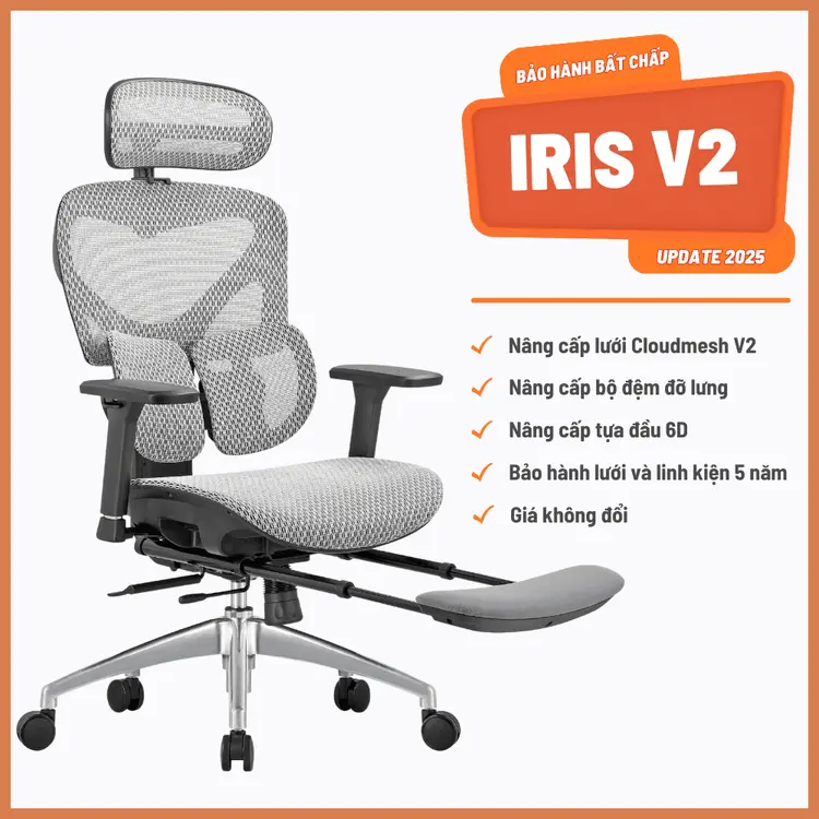 Ghế Công Thái Học Manson Iris Lưới Cloudmesh V2