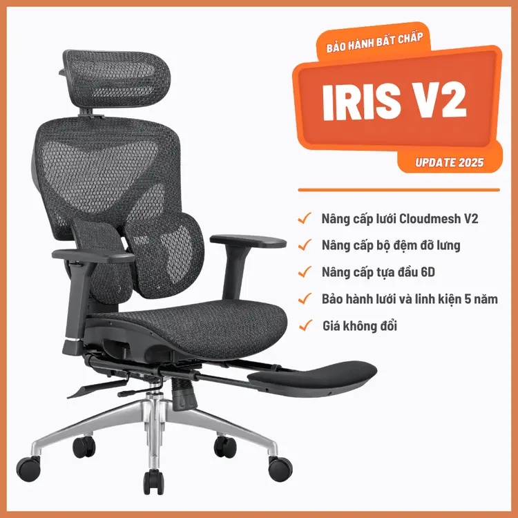 Ghế Công Thái Học Manson Iris Lưới Cloudmesh V2