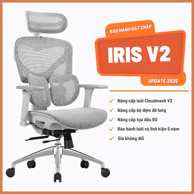Ghế Công Thái Học Manson Iris Lưới Cloudmesh V2