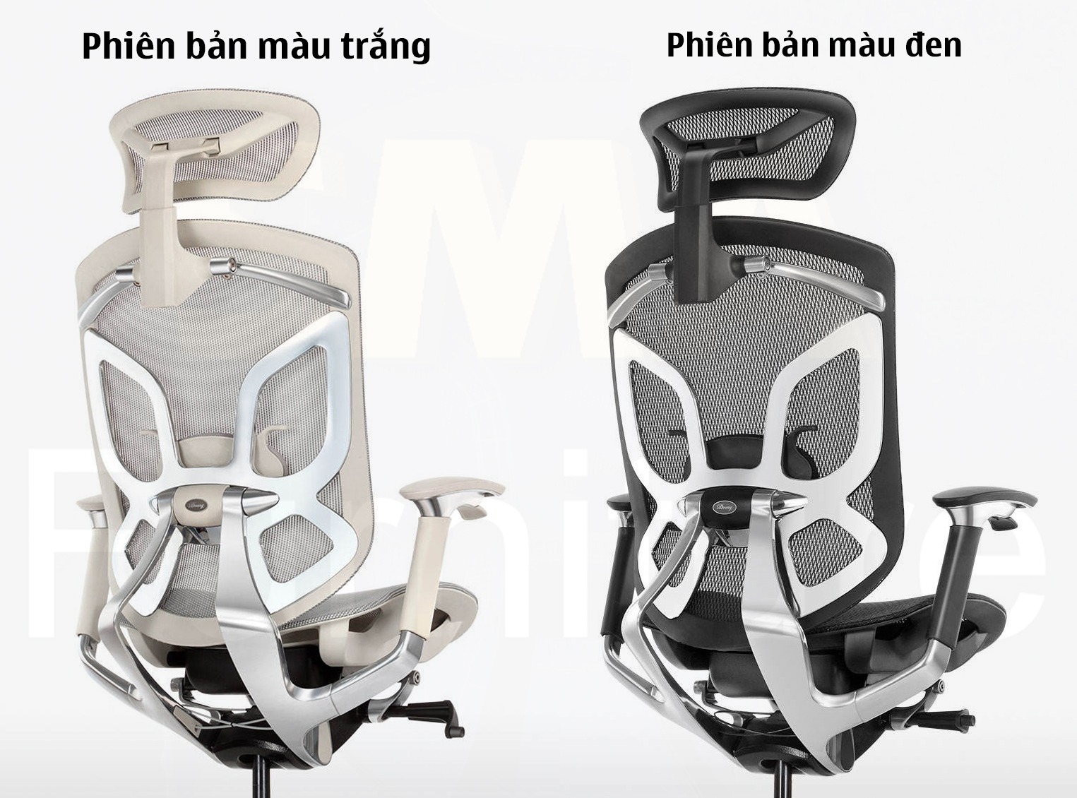 Ghế công thái học GTChair Dvary Butterfly
