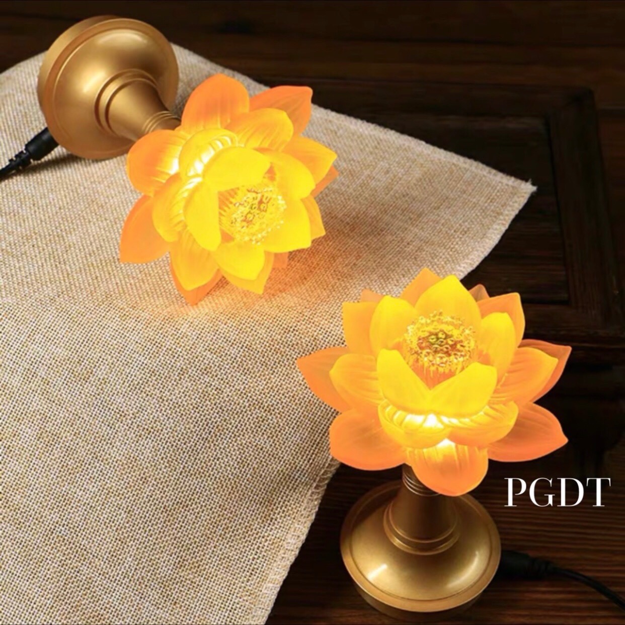 ĐÈN CẮM ĐIỆN