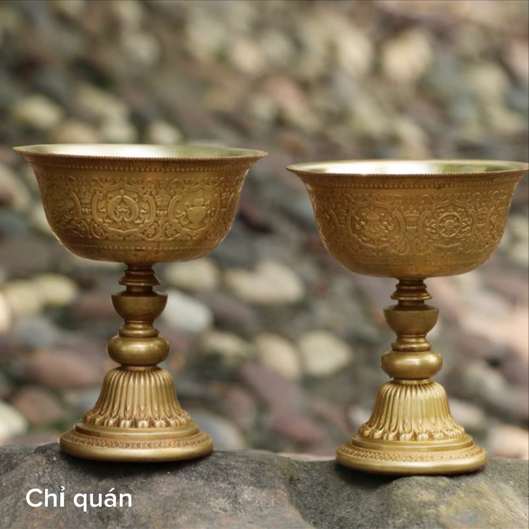 CHÂN ĐÈN BƠ