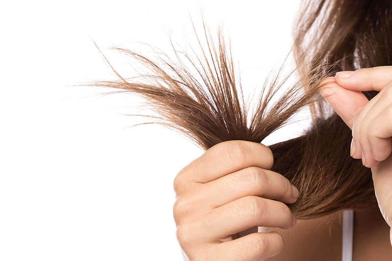 Top 7 dầu gội cho tóc khô xơ nam, phục hồi hư tổn hiệu quả