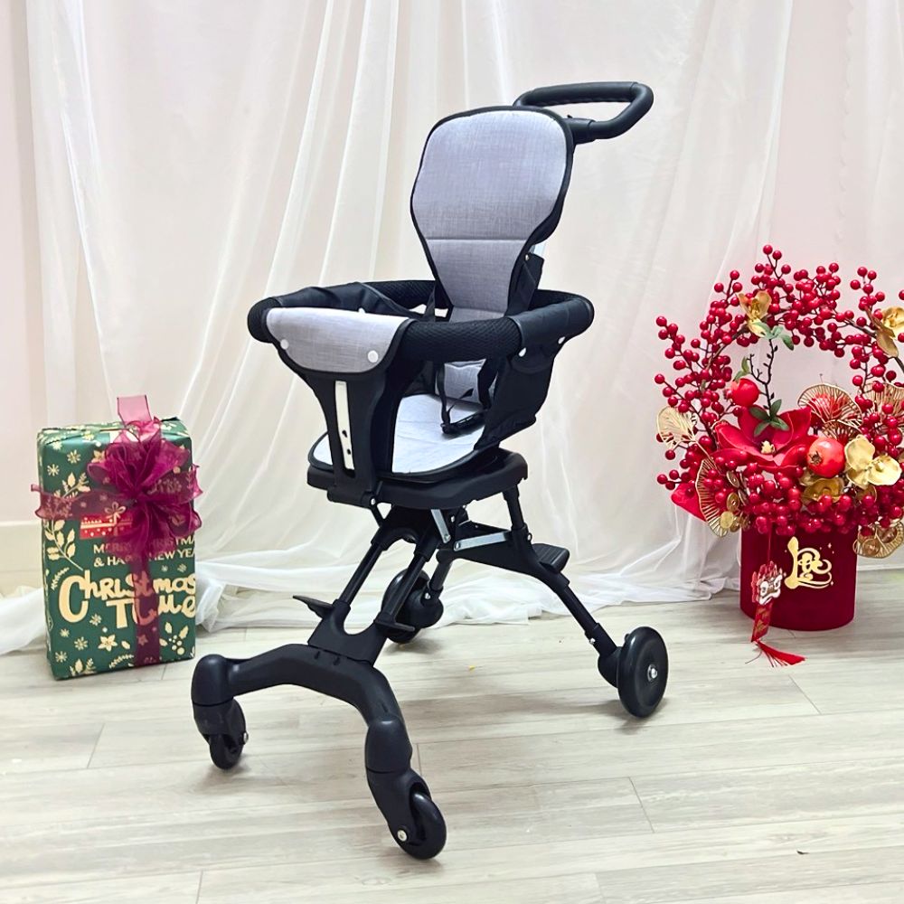 Xe đẩy gấp gọn có đệm ngồi