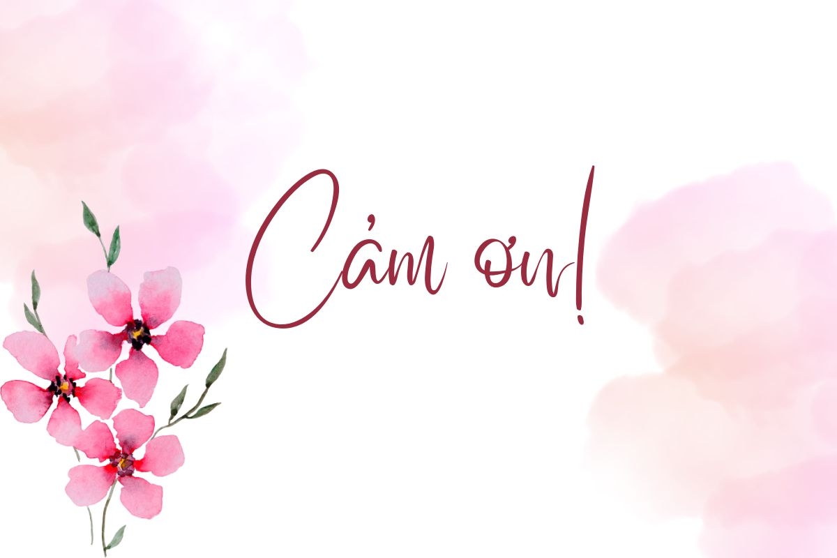 Ra đời, đừng tiếc một lời cảm ơn – Câu chuyện nhỏ từ khách hàng KSBC