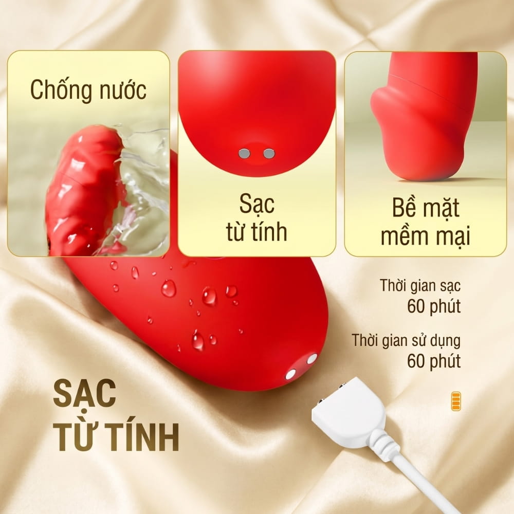 duong-vat-gia-da-nang-shang-chun-daphne-4-chinh-hang-gia-re-tiet-kiem