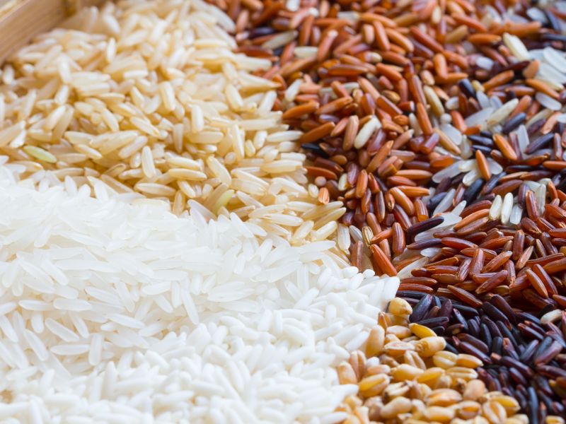 Cách nấu cháo bằng nồi nấu chậm: Bí quyết cho món cháo thơm ngon