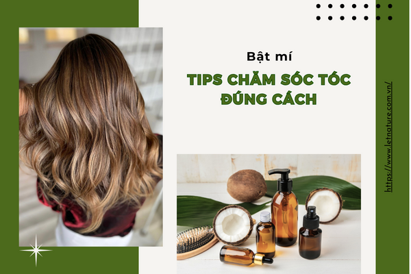 Chăm Sóc Tóc Đúng Cách: Tips Giúp Tóc Luôn Khỏe Mạnh, Suôn Mượt Cả Ngày